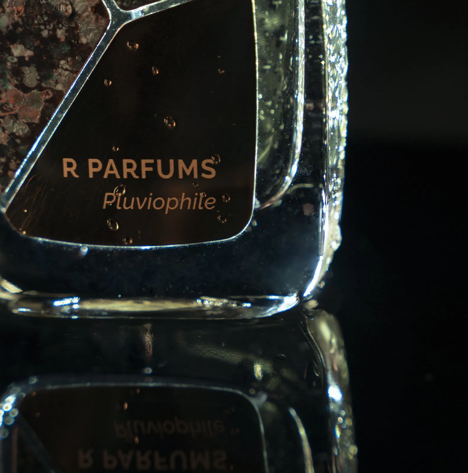 가까이에서 본 Pluviophile 병의 모서리. 황동판 위의 R Parfums 글자와 잔 물방울, 어두운 유리면에 비친 병.