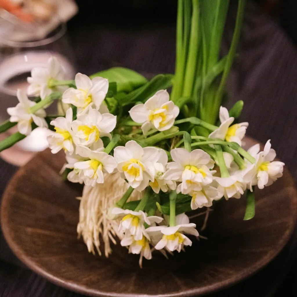 Chùm hoa thủy tiên cánh kép trắng nhụy vàng, rễ trắng dài, đặt trên đĩa gỗ tối màu