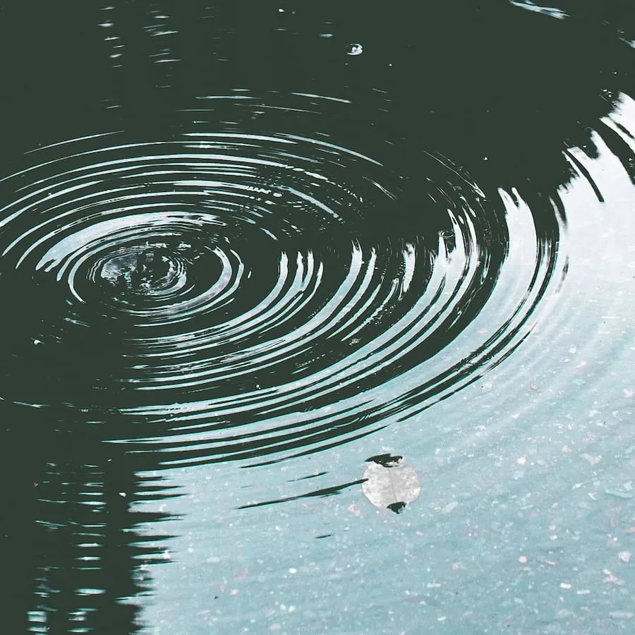 Still water rippling in rings from falling raindrops, a small leaf afloat, recalling the rain of Pluviophile