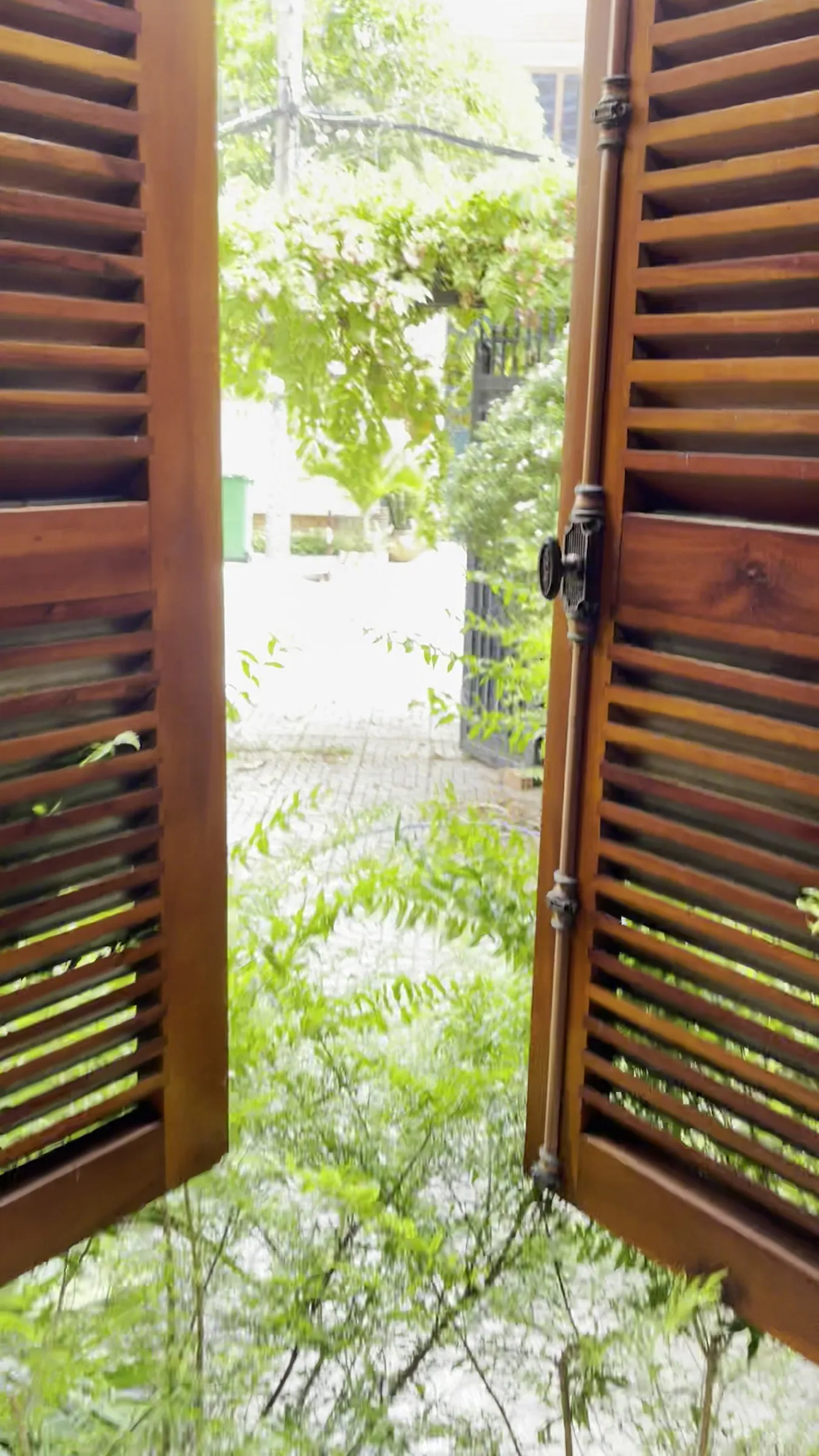 Two brown wooden shutters opening onto a green courtyard and an iron gate, in the old house before renovation