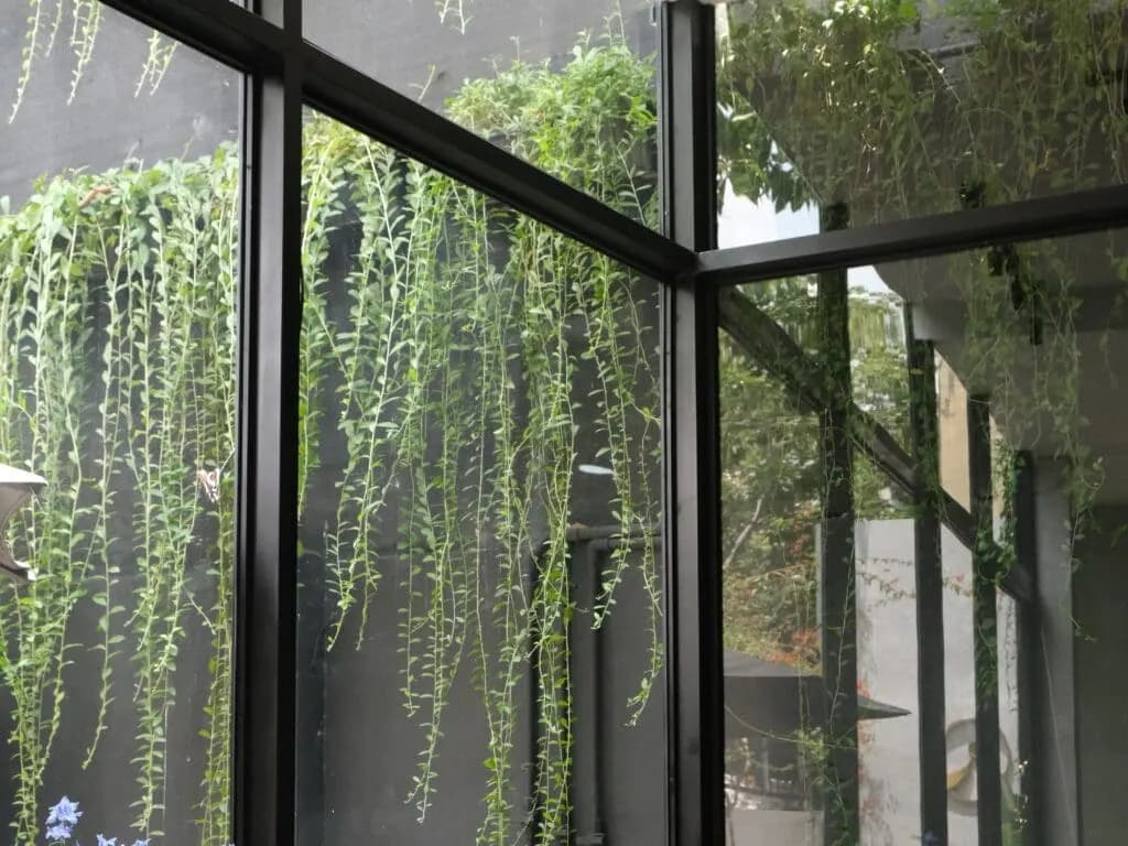 入口的玻璃屋：垂吊的植物落在黑框玻璃上。