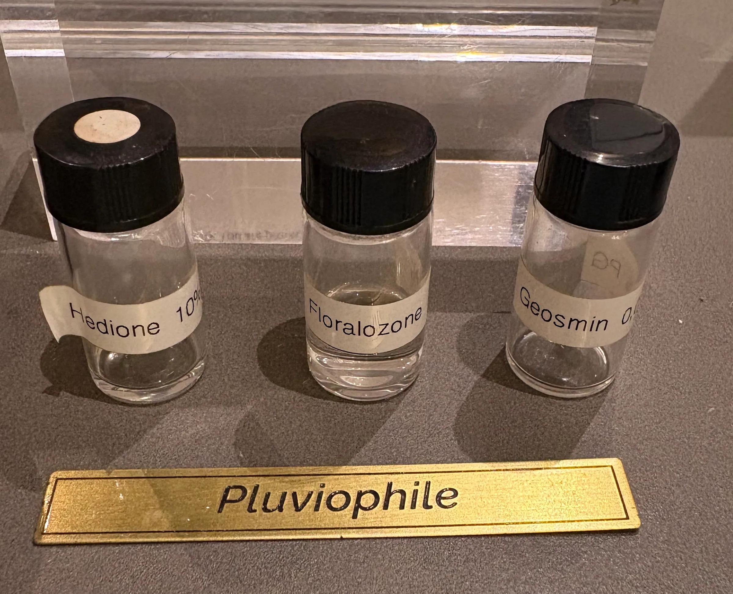 三个黑盖小玻璃瓶，标签朝外，前方是一块写着“Pluviophile”的黄铜名牌。