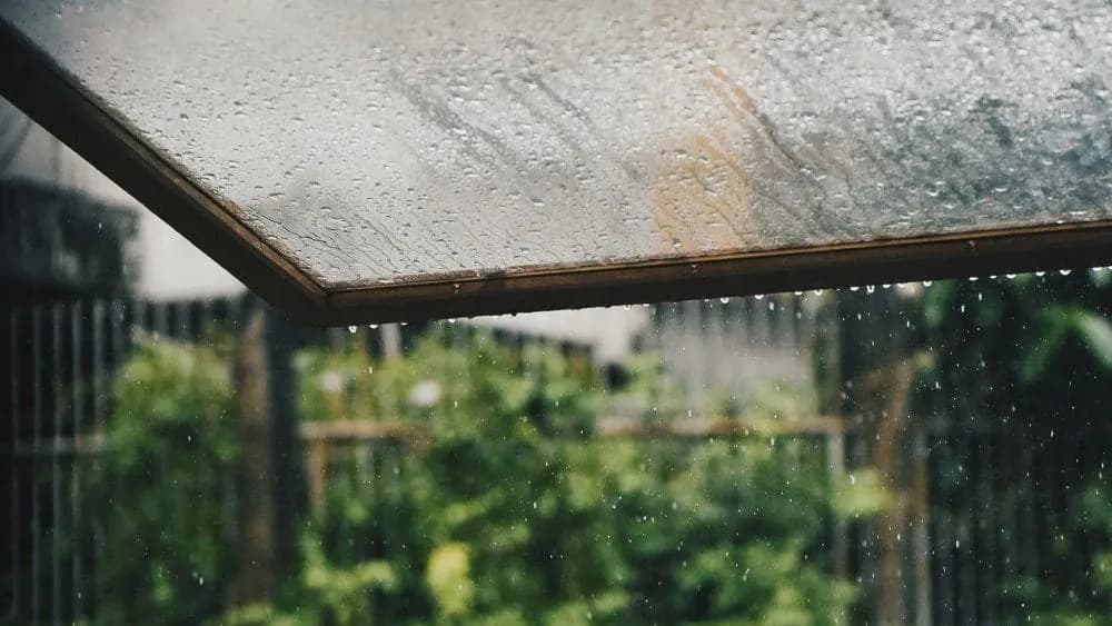 雨滴凝在玻璃屋顶上,滴落在朦胧的绿荫前,令人想起大叻的雨。