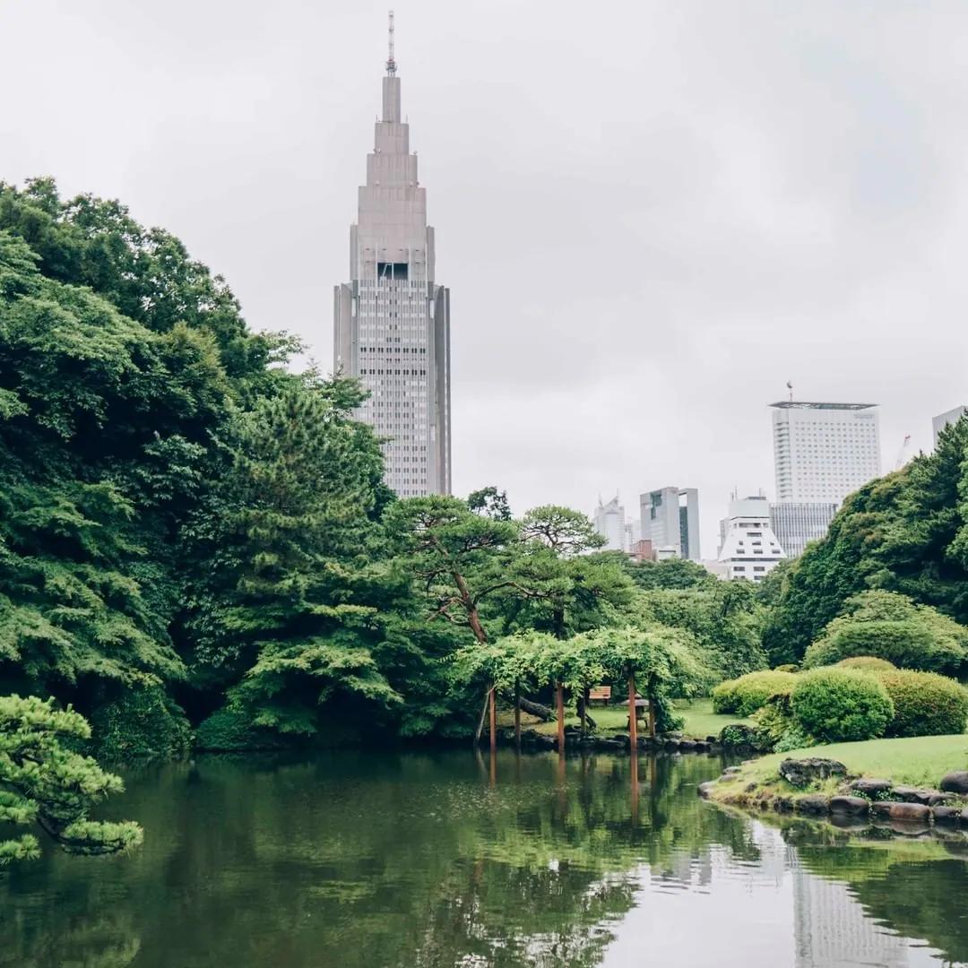 阴天的新宿御苑,成排绿树倒映在湖面上,远处有一座高塔。