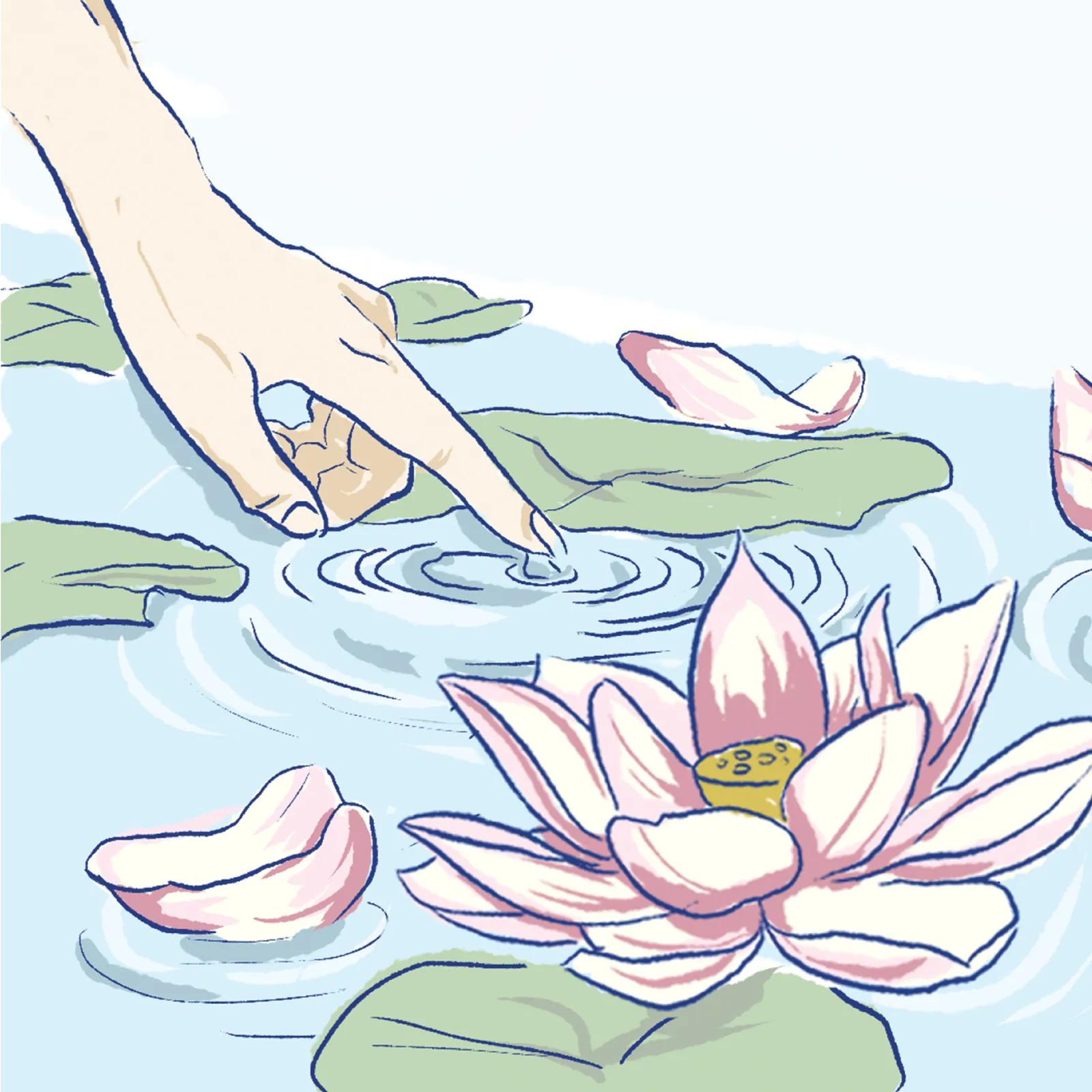 Illustration of a fingertip touching rippling water beside a pink lotus and drifting petals