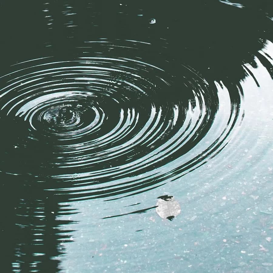 雨滴落在积水上，漾开一圈圈涟漪，水面浮着一片小叶子，呼应 Pluviophile 以雨为题。
