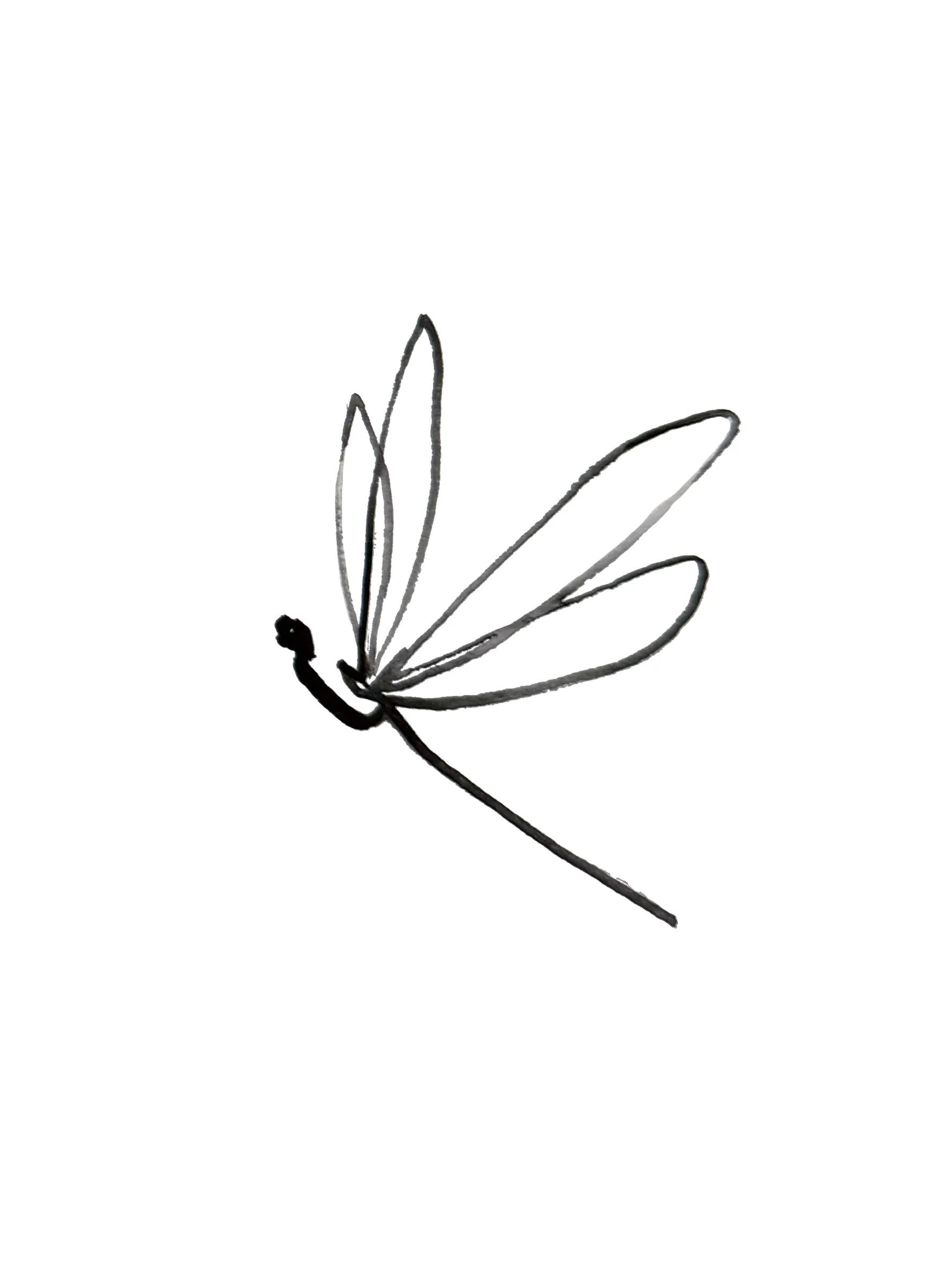Dessin à l’encre : une libellule qui s’incline en plein vol, ses quatre ailes fines ouvertes.