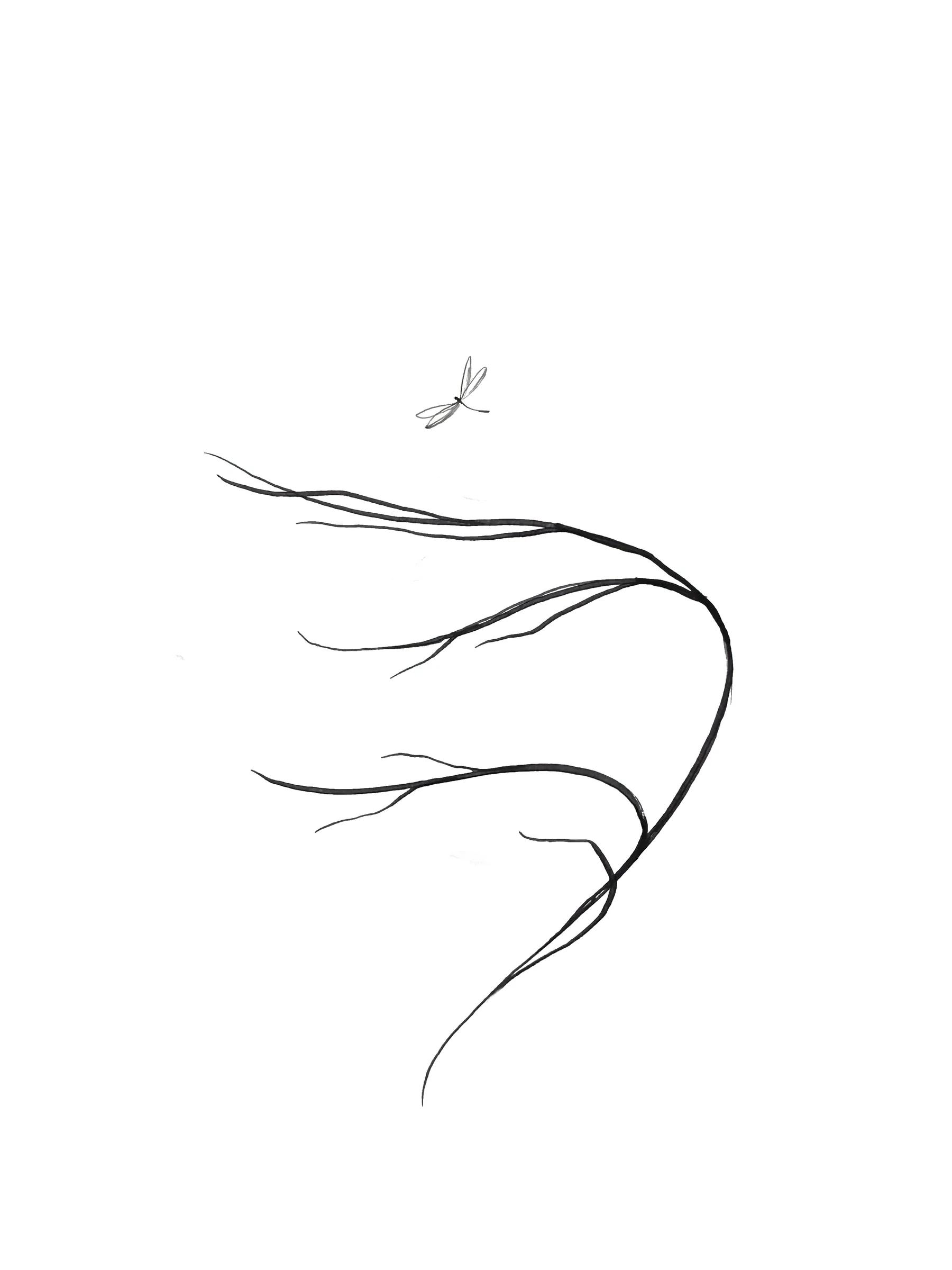 Dessin à l’encre : une branche nue qui s’incurve dans l’air, une petite libellule en vol au-dessus.