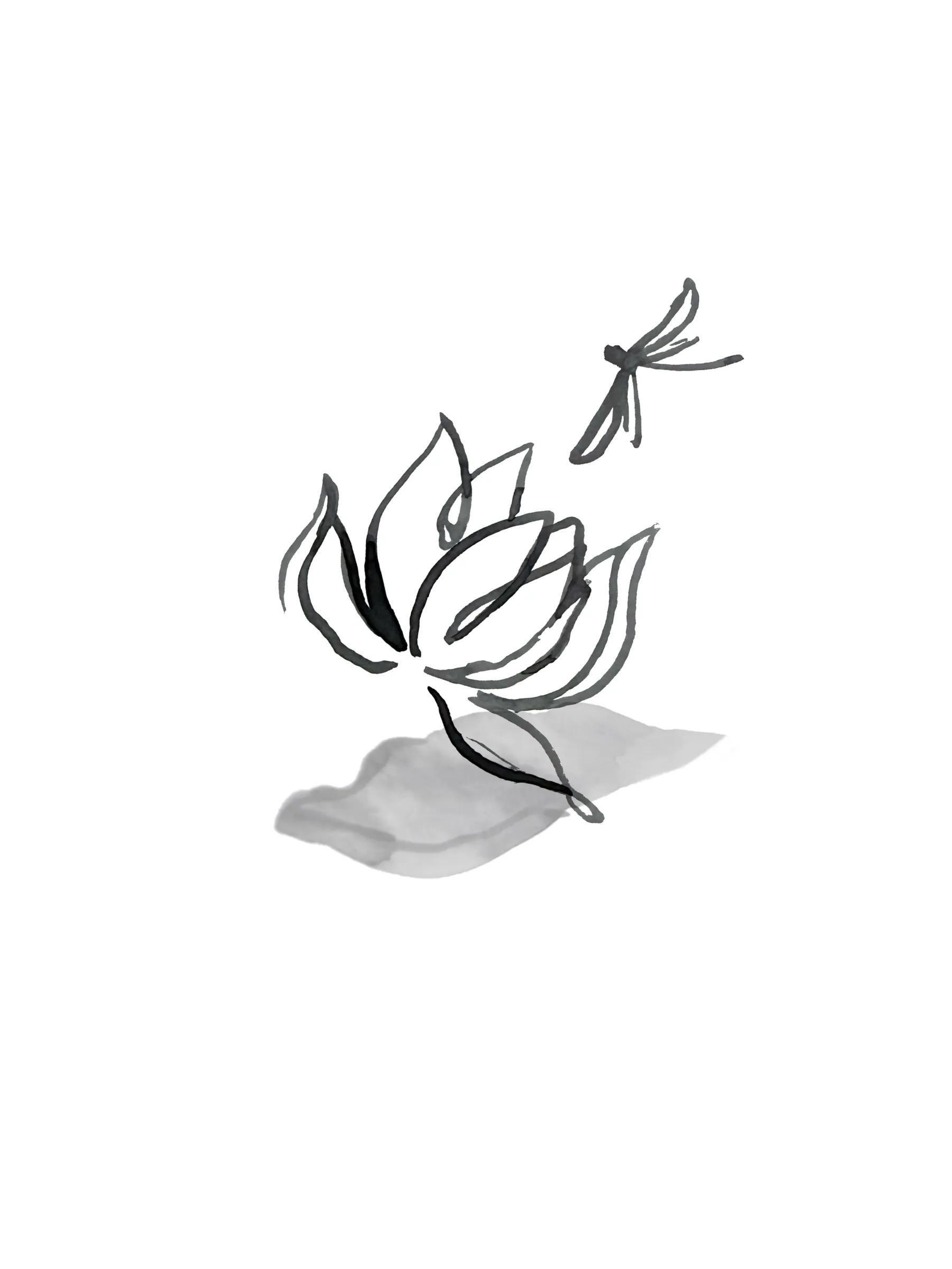 Dessin à l’encre : un lotus qui s’ouvre au-dessus d’un lavis d’eau pâle, une libellule tout près.