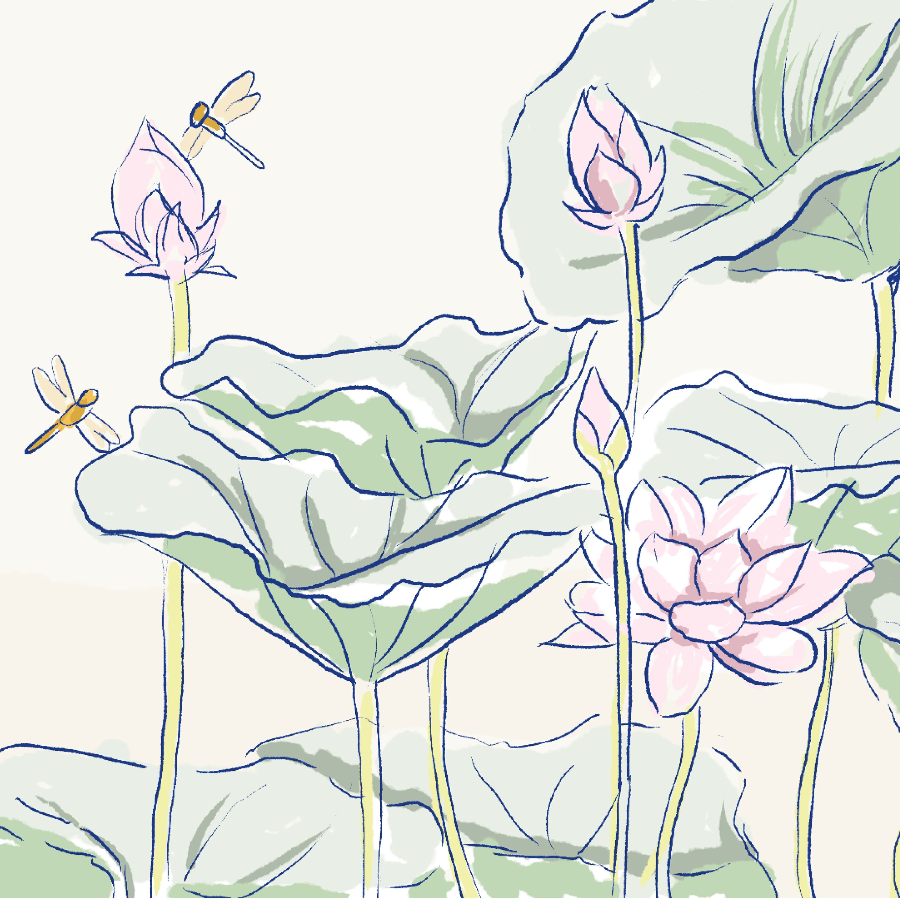 ภาพวาดสระบัว: ใบสีเขียว ดอกตูมและดอกบานสีชมพู แมลงปอสองตัวกำลังบิน