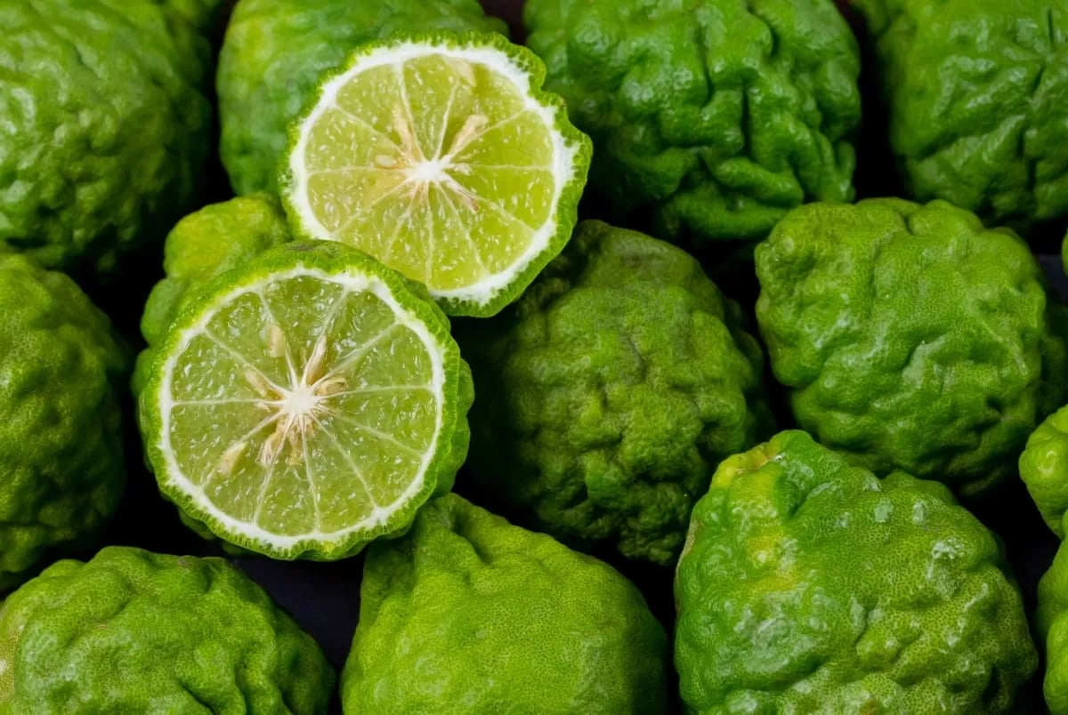 Mga luntian at bukol-bukol na bunga ng bergamot, dalawang hating nakabukas – isang unang nota ng Eau de Hajime